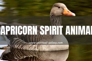 Capricorn Spirit Animal: The Goose, Find Out Why!