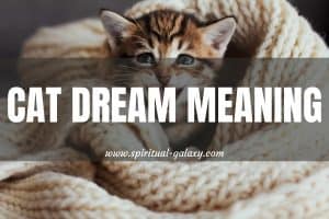 Cat Dream Meaning: Beauty And Elegance