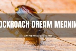 Cockroach Dream Meaning: Usually A Good Sign