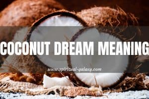 Coconut Dream Meaning: Stop Being So Difficult!