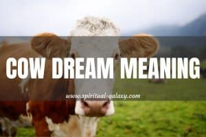 Cow Dream Meaning: Being Spiritual Messengers