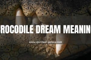 Crocodile Dream Meaning: A Range Of Emotions