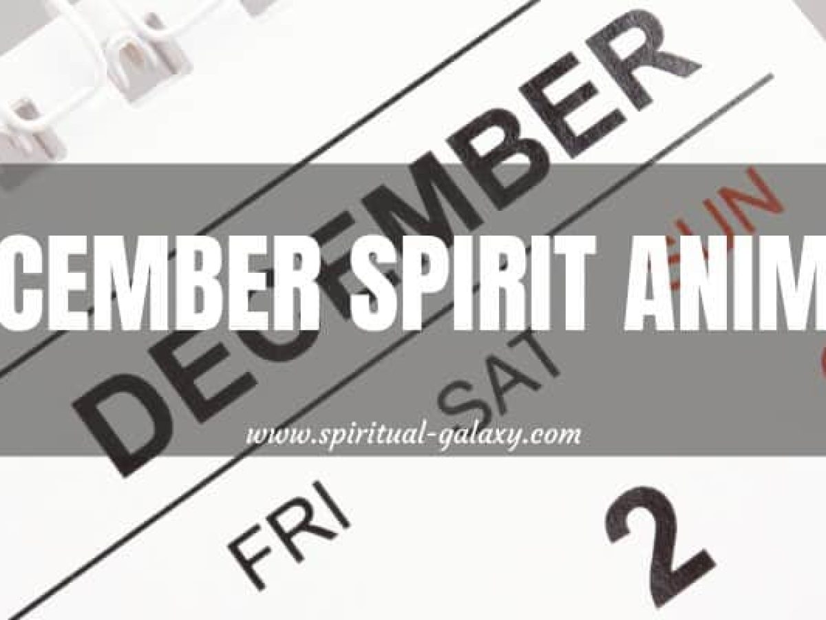 December Spirit Animal: I'll Tell You Based On Your Birthday! - Spiritual 
