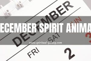 December Spirit Animal: I'll Tell You Based On Your Birthday!