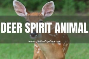 Deer Spirit Animal: Calmness And Tranquility