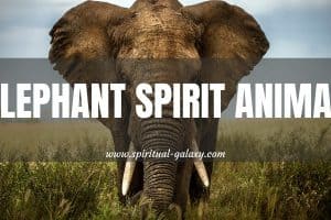 Elephant Spirit Animal: Meaning, Symbolism, & Dreams