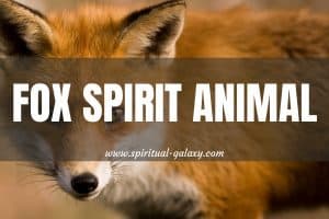 Fox Spirit Animal: Bearer Of Good News