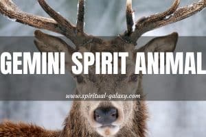 Gemini Spirit Animal: The Deer & Your Similarities