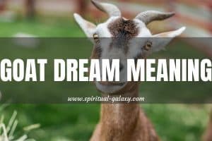 Goat Dream Meaning: You Are Difficult To Manage