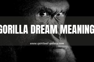Gorilla Dream Meaning: 8 Best Interpretation