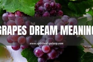 Grapes Dream Meaning: Extensive Information About The Dream