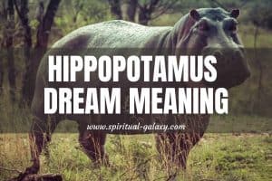 Hippopotamus Dream Meaning: 8 Dream Interpretation