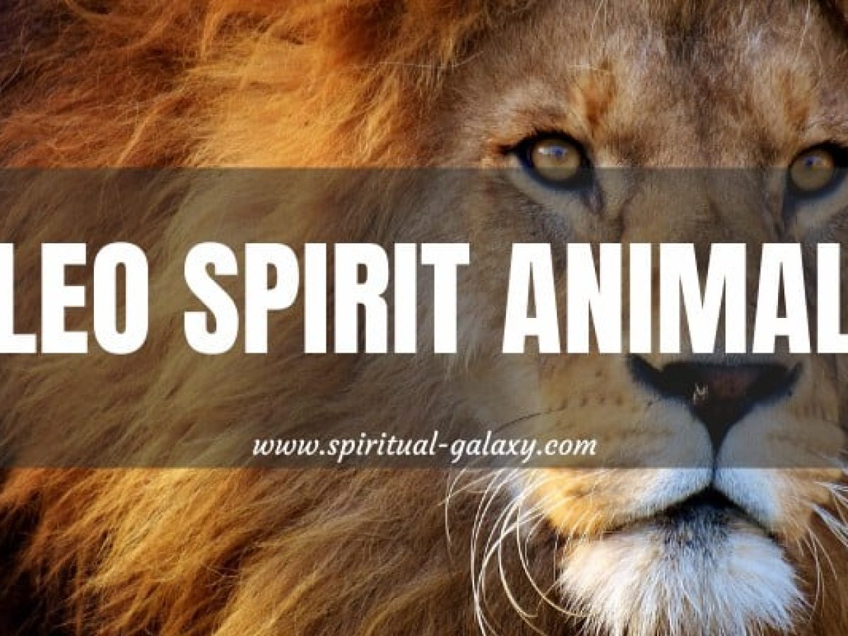 Leo Spirit Animal: Get To Know The King Of The Jungle 