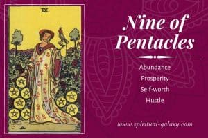 Nine of Pentacles Tarot Card Meaning (Upright & Reversed)
