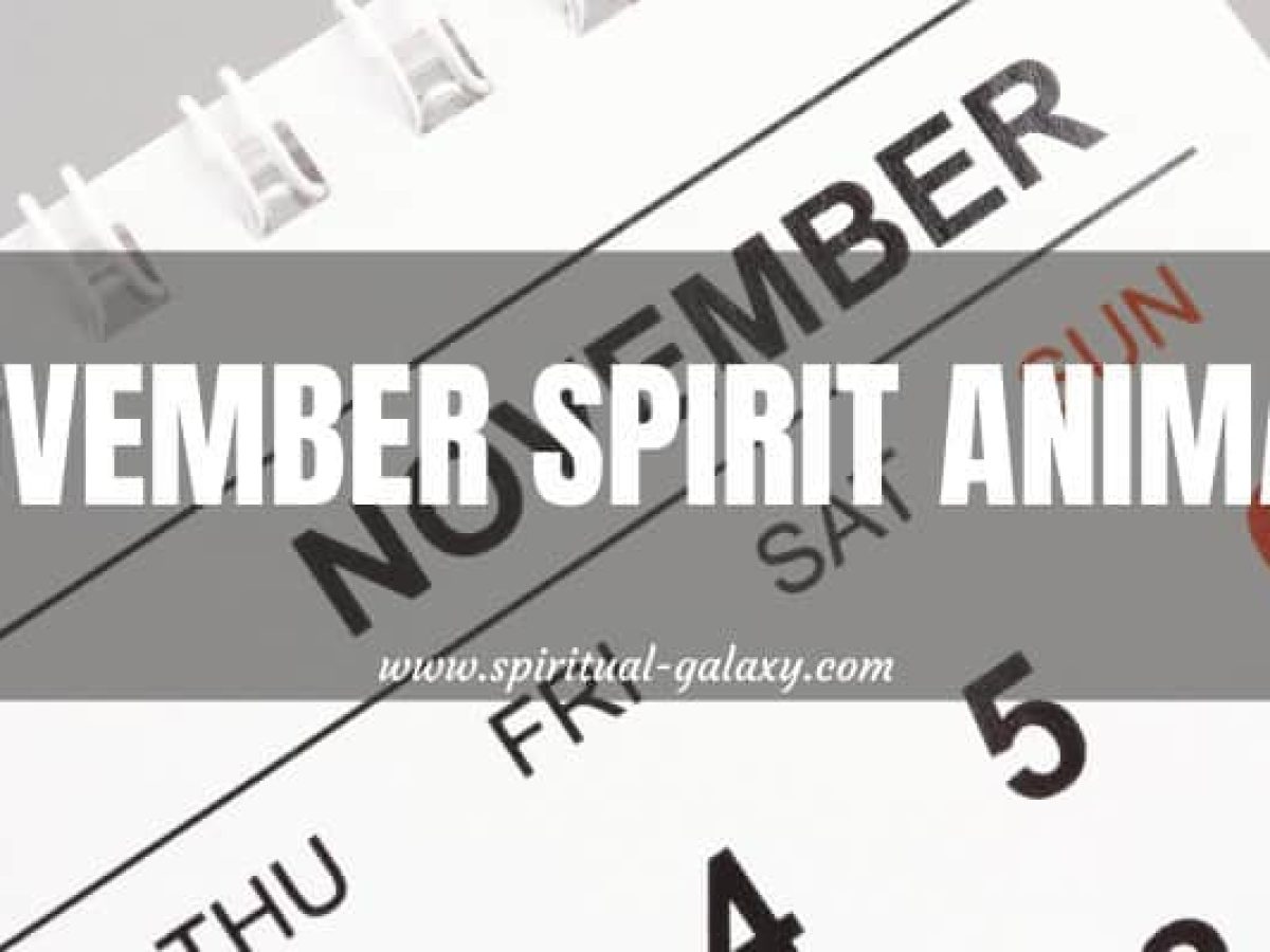 November Spirit Animal: Discover What You Embody 