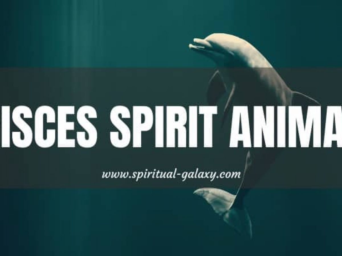 Pisces Spirit Animal: A Playful Sea Animal 