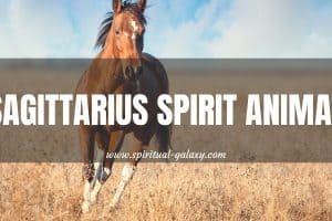 Sagittarius Spirit Animal: Sweets Are Their Favorite