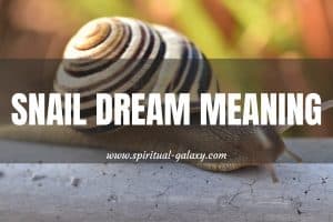 Snail Dream Meaning: Slow Down And Take It Easy!