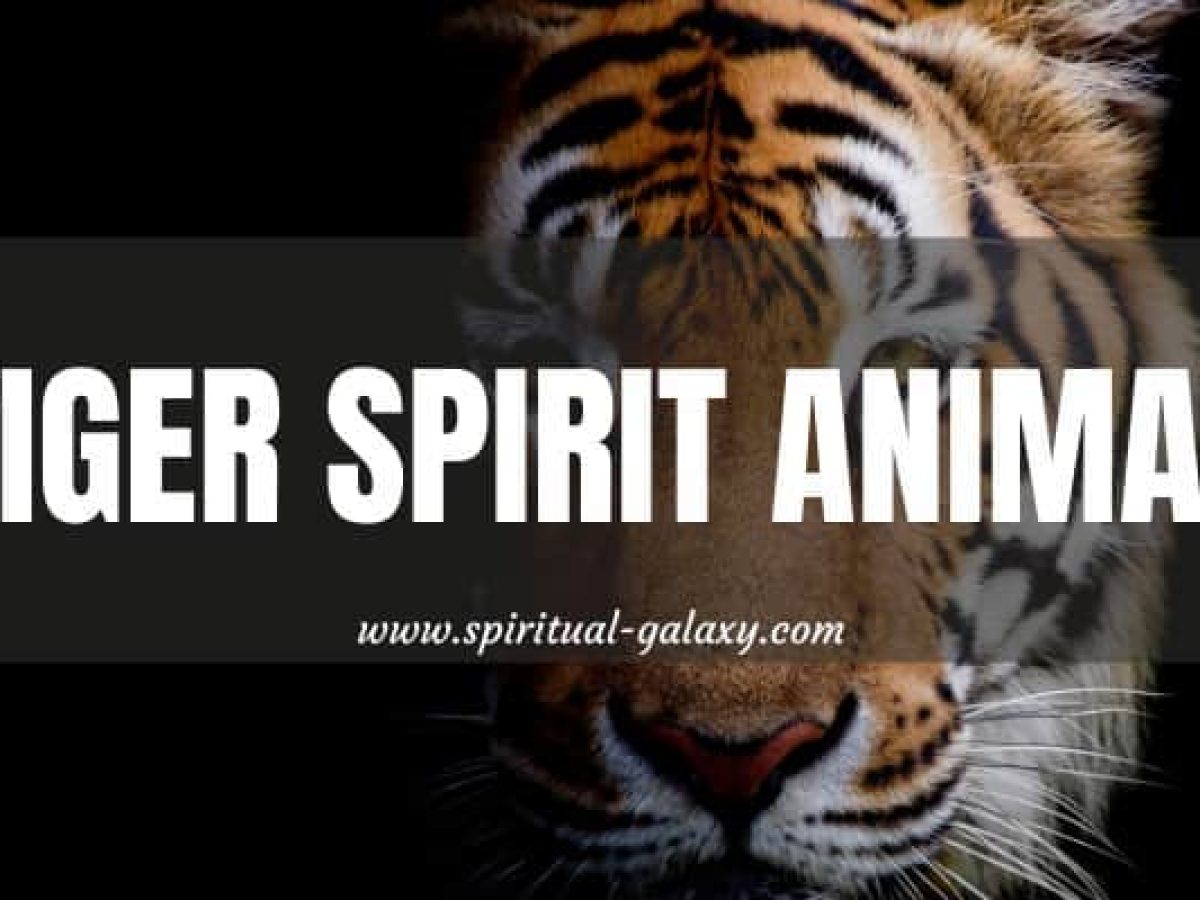 Tiger Spirit Animal: It's About Drive And Determination! - Spiritual 