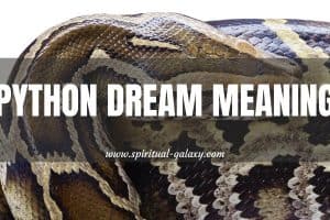 Top 8 Python Dream Meaning: The Worst Things In Life!