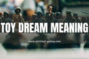 Toy Dream Meaning
