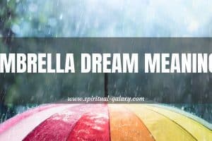 Umbrella Dream Meaning: Depending On The Situation