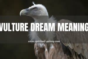 Vulture Dream Meaning: What Will Happen?