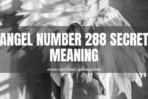Angel Number 288 Secret Meaning: Believe In Heaven's Power