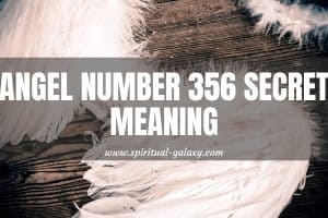 Angel Number 356 Secret Meaning: Have Faith In The Process