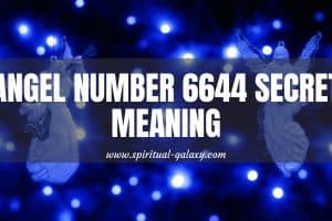 Angel Number 6644 Secret Meaning: Money, The Source Of Your Stress
