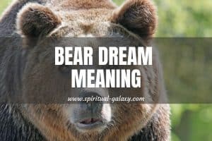 Bear Dream Meaning: Strength And Independence!
