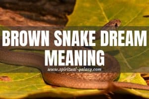 Brown Snake Dream Meaning: Your Journey To Self Discovery