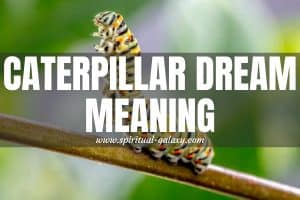 Caterpillar Dream Meaning: Changes, Opportunity, And Growth!