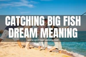 Catching Big Fish Dream Meaning: Let's Dive Deeper