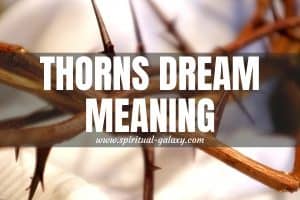 Thorns Dream Meaning: Careful Not To Be Pricked