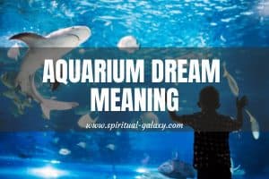 Aquarium Dream Meaning: What Does It Depicts?