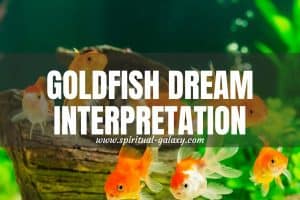 Goldfish Dream Meaning: How To Keep Your Wealth?