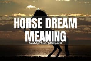 Horse Dream Meaning: Win Every Battle In Life