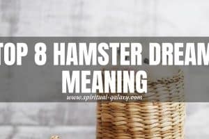Top 8 Hamster Dream Meaning: How To Manage Your Money?