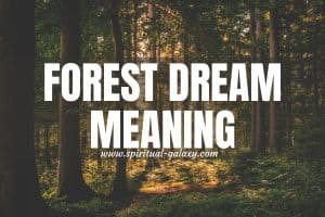 Forest Dream Meaning: The Long Wait Is Over