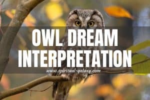 Owl Dream Interpretation: Achieve Your Dreams Today