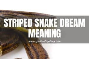 Striped Snake Dream Meaning: Someone Will Betray You