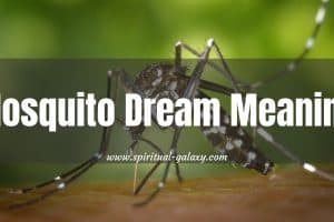 Mosquito Dream Meaning: Are You Feeling Drained?
