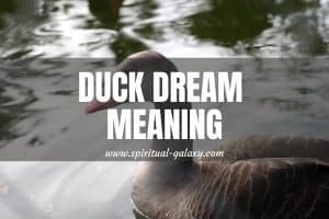 Duck Dream Meaning: The Way To Your Freedom