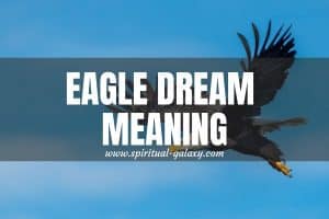 Eagle Dream Meaning: Your Idea Of Reality