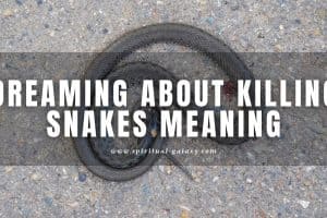 Dreaming About Killing Snakes: Is Someone Backstabbing You?
