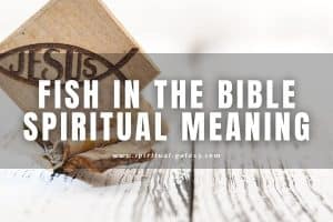 Spiritual Meaning of Fish in the Bible: Prophetic Meaning