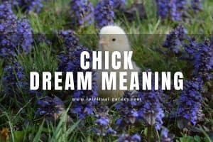 Chick Dream Meaning: What are Their Colors Telling You?