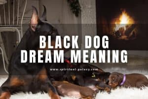 Black Dog Dream Meaning: What Does It Mean?