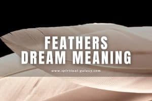Feathers Dream Meaning: Does It Mean You Will Soar High?